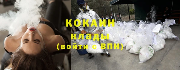 индика Алзамай