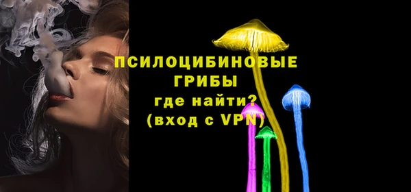 амф Абинск