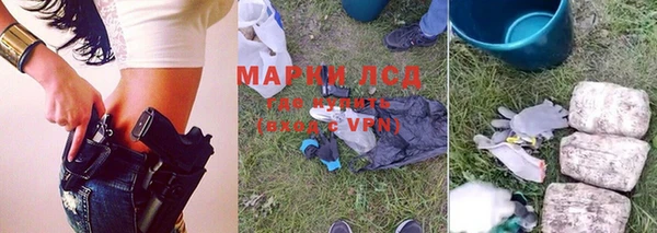 индика Алзамай